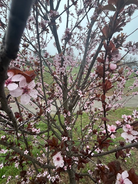 The Blooming Art Scene in Fall River