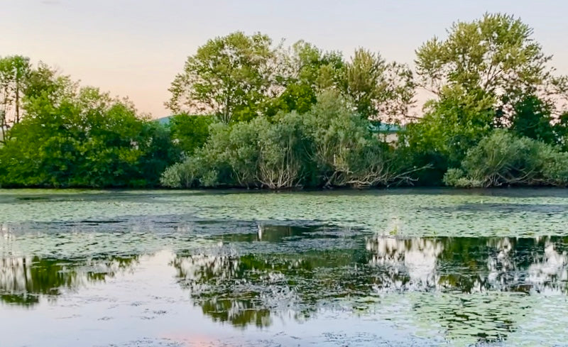 Quequechan River reflecting on water